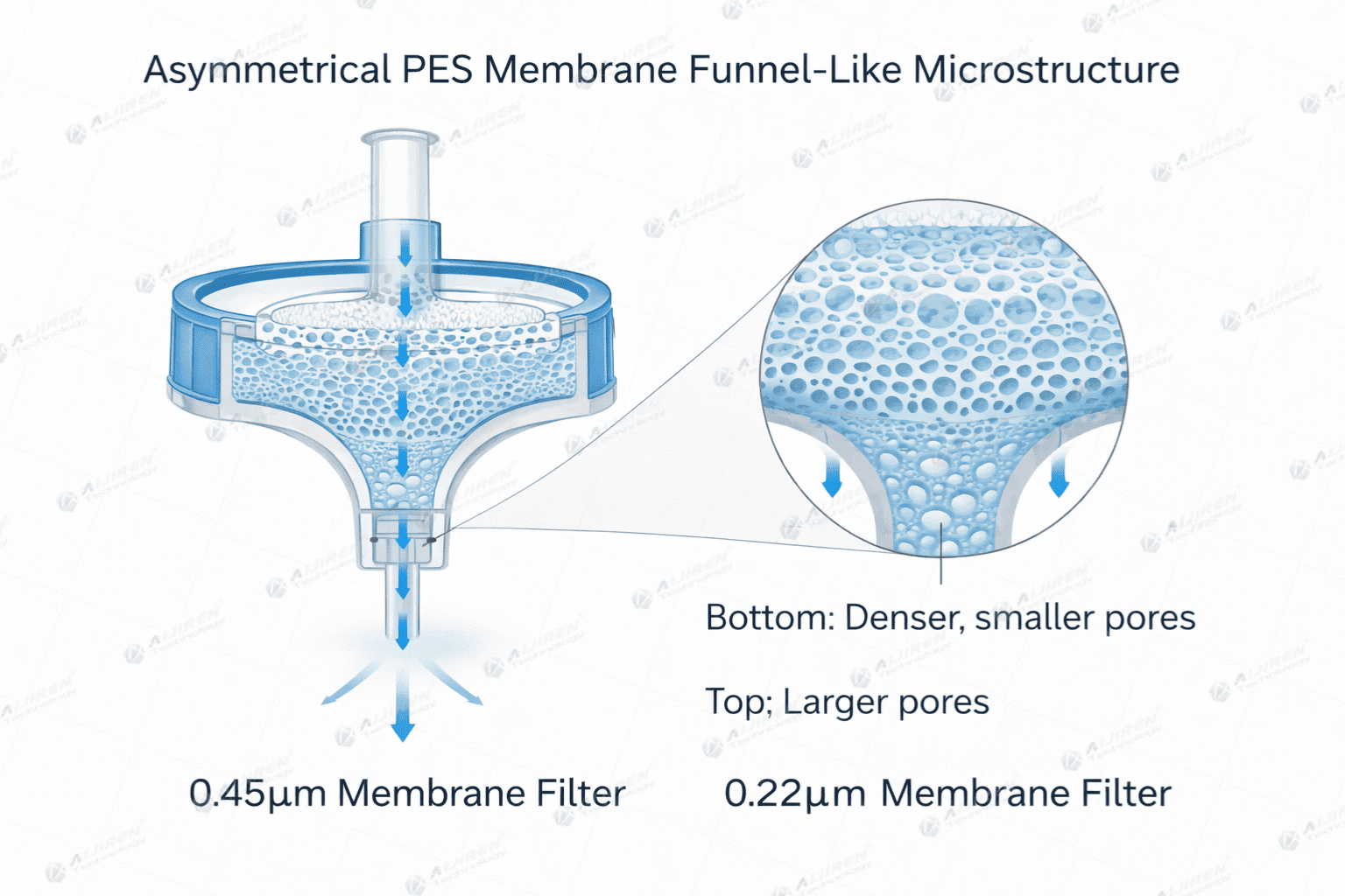 SEM cross-section asymmetric PES membrane